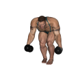 Posterior Raise - Bent Over Dumbbell Narrow Stance